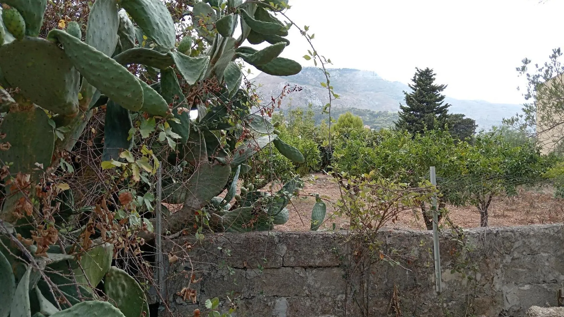 Vittoriostella Villa Immersa Nel Verde Valderice Italy