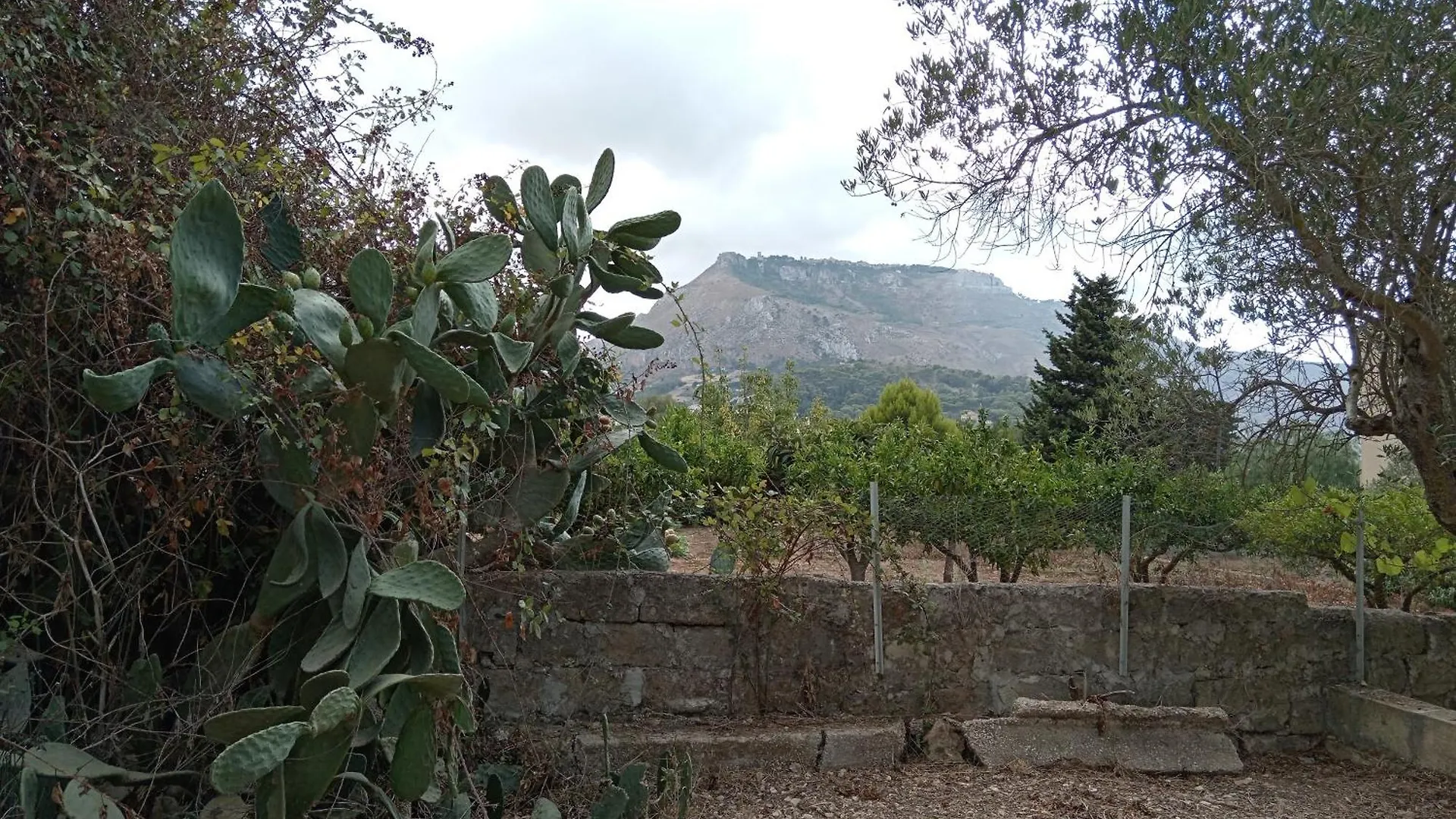 Vittoriostella Villa Immersa Nel Verde Valderice